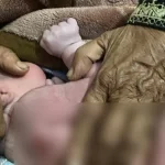 মুকসুদপুরে ছুরিকাঘাতে বিউটি পার্লার কর্মী খুন