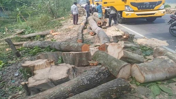 gournadi photo sl 2 600x337 1