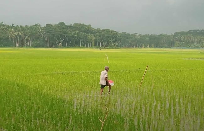 image 122686 1705562620