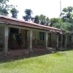 পাহাড়ী ঝাড়ু ফুলে ভাগ্য বদল…..