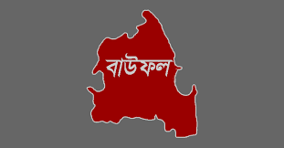 বাউফল
