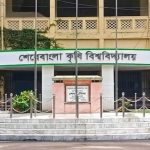 কাজ বেড়েছে কিয়ারার