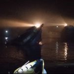 খুলনা ভার্সিটির সৌন্দর্য বাড়িয়ে দিয়েছে সূর্যমুখী