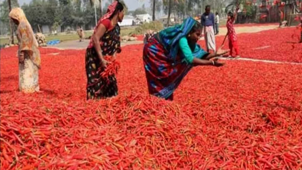 সিরাজগঞ্জ