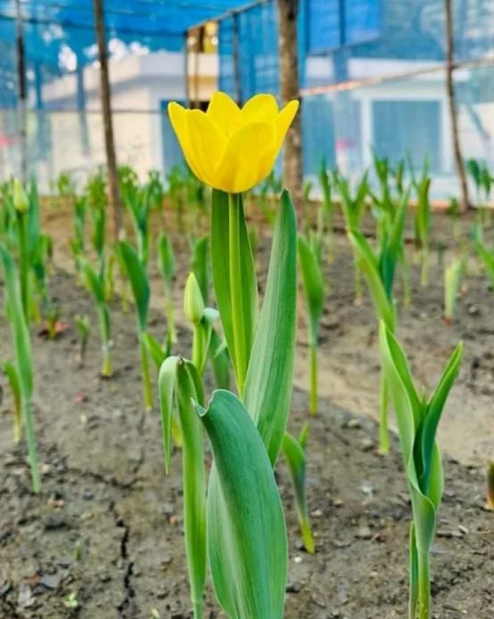 656c5b4a633de58d77850bdc57f72856 65d7540d136fc