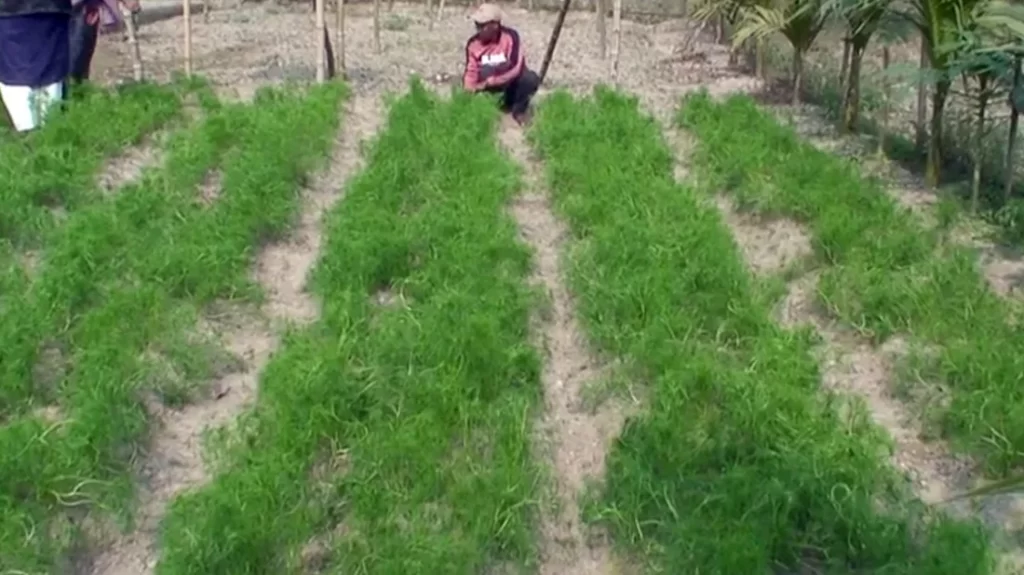 733e4e8294e05f81e290e31a90c2a3da 65d1c9682d751