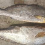 মাহিকে ধৈর্য ধরতে বললেন শুভাকাঙ্ক্ষীরা