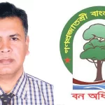 সবুজে মোড়ানো বিষ্ণুপুর গ্রাম : মাঠজুড়ে সরিষার হলুদ সাম্রাজ্য