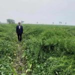 পাইকগাছার শিবসা নদী আজ শুধুই স্মৃতি