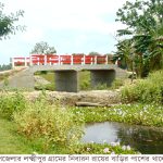 পাথরঘাটায় কু প্রস্তাবে রাজি না হওয়াই কাল : প্রবাসীর স্ত্রী ও স্বামীর বিরুদ্ধে ১১ মামলা