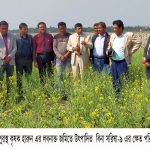 মুকসুদপুরে বাস চাপায় এক বৃদ্ধার মৃত্যু