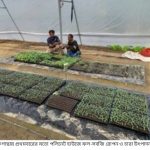 পাথরঘাটায় বিদ্যুৎ শকে মাদ্রাসা ছাত্রের মৃত্যু