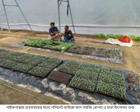 Polish 20240204 094305015