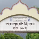 সিরাজগঞ্জের যমুনা চর  ছেয়ে গেছে লাল সোনা’য়