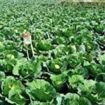 দ্রব্যমূল্য স্থিতিশীল রাখতে কাজ করছে সরকার : সচিব তপন কান্তি ঘোষ