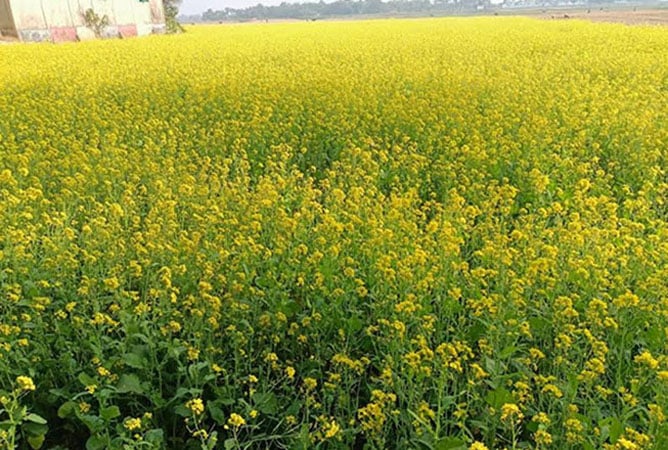 image 128080 1708859299