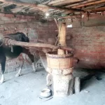 জ্যাকলিন ফার্নান্দেজের বিল্ডিংয়ে আগুন