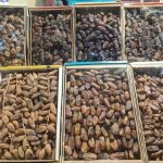 শাহজালাল বিশ্ববিদ্যালয়ে ইফতার পার্টি না করার অনুরোধ