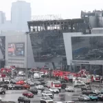 উঁকি দিচ্ছে লিচুর সোনালি মুকুল