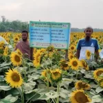 নলছিটিতে তামাক নিয়ন্ত্রনে  টাস্ক ফোর্স কমিটির সভা