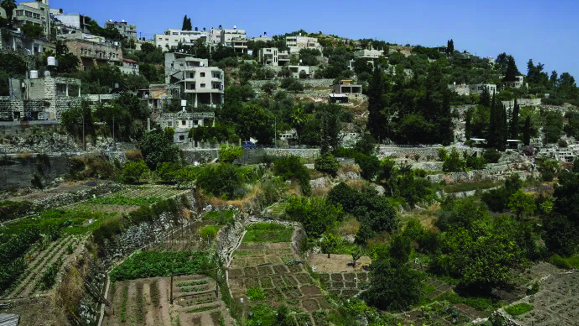 8a2e246c76209b3c2bbd9231addf3097079df15904b0f32c