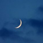 বরিশাল বিশ্ববিদ্যালয় ক্যাম্পাসে ভয়ংকর হয়ে উঠছে রিদম ও আরাফাত গ্রুপ