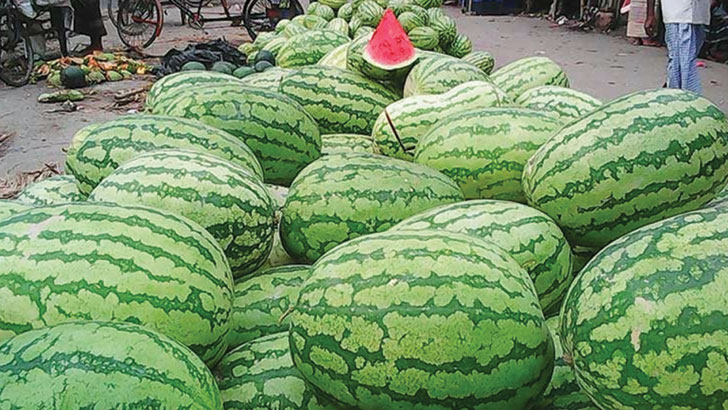 image 785842 1710696628