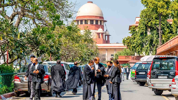 image 788411 1711268449