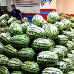 নীলফামারীতে জমির দাবিতে বাবার জন্য খোঁড়া কবরে শুয়ে দাফনে বাধা