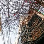 মর্গে পড়ে থাকা পুতুলের মিলেছে পরিচয়