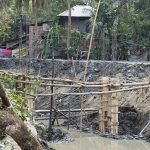 যমুনার চরাঞ্চলে স্ট্রবেরি চাষ