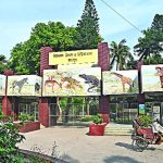 পদ্মা সেতুতে ২৪ ঘণ্টায় প্রায় ৫ কোটি টাকা টোল আদায়