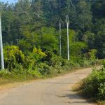 ইসরায়েলের সামরিক গোয়েন্দা প্রধানের পদত্যাগ