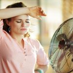 মশা তাড়ান প্রাকৃতিক উপায়