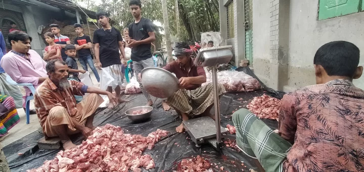 26bbde580b2b6fb9662b8c668b6618cd 6614f70486ff6