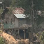 ব্রাজিল থেকে গরু আমদানি করতে চায় বাংলাদেশ