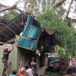 ঝালকাঠিতে বজ্রপাতে নারী ও শিশুসহ চারজন নিহত