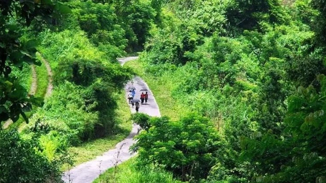 image 80493 1713277595