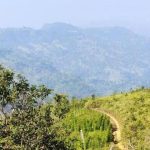 কেএনএফ সন্ত্রাসী কর্মকাণ্ডে জড়িয়েছে,কোনো সন্ত্রাসীকে ছাড় দেওয়া হবে না :সেনাপ্রধান