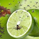 গরমে স্বস্তি ও সুস্থতা