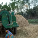 হেরে গেলেও দিদি’কে ছাড়ব না : রচনা