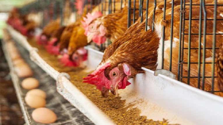 33c3b3123122a2d37c45caba31ff1f55bf5f191a367b6743