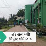 বরিশাল পল্লী বিদ্যুৎ সমিতি’র জিএমের বিরুদ্ধে নারী কেলেংকারী-দুর্নীতি অনিয়ম’র অভিযোগ