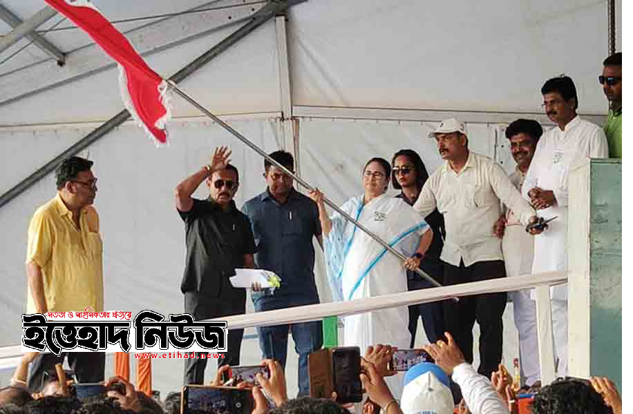 Mamata 3