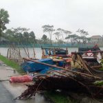 সুন্দরবনে বাড়ছে মৃত হরিণের সংখ্যা