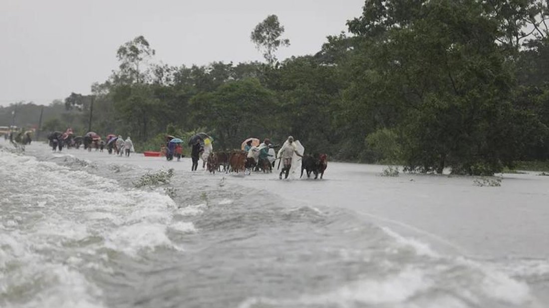 a5955927c80d02157a9c2afe268d9715