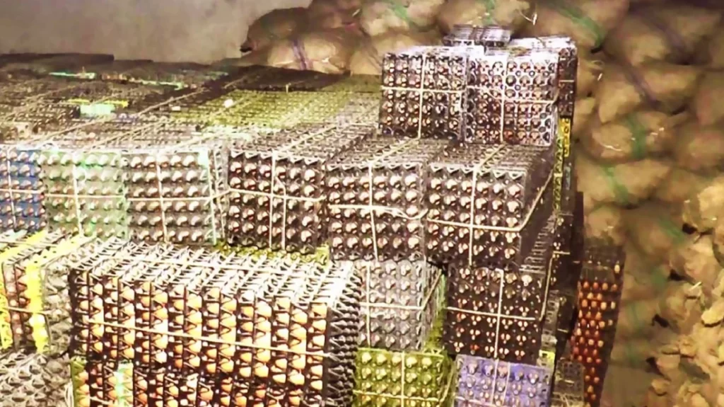 aa288613bf604eeb5b9db258ab976fe7 66467e717d993