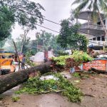 বিদ্যুৎ বিচ্ছিন্ন ১ কোটি ৭৩ লাখ গ্রাহক