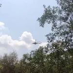 জায়েদ-ফারিয়া জুটি হলে মন্দ হয় না