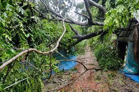 ঘূর্ণিঝড় রিমালের তাণ্ডব : বাগেরহাটে ৪৫ হাজার ঘরবাড়ি বিধ্বস্ত 8 images